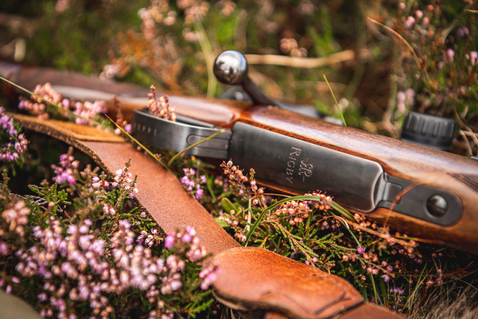 Rifle laying in heather