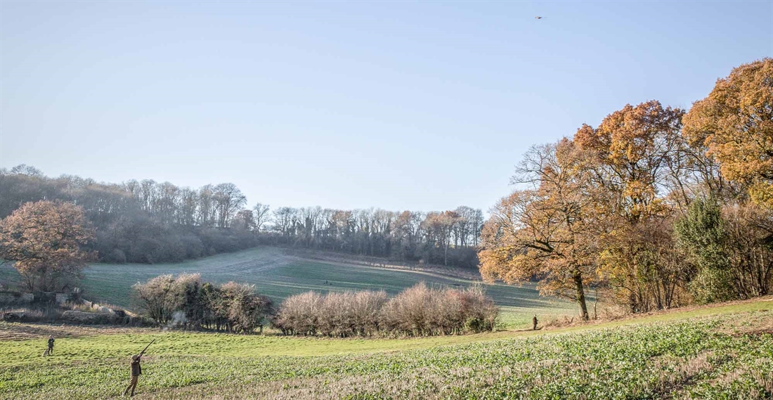 Grey Partridge Beatkeeper &#8211; Rotherfield