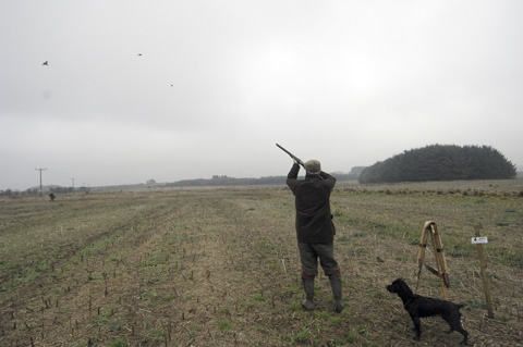 Game shooting at Brucklay