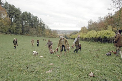 Stoke Edith Herefordshire