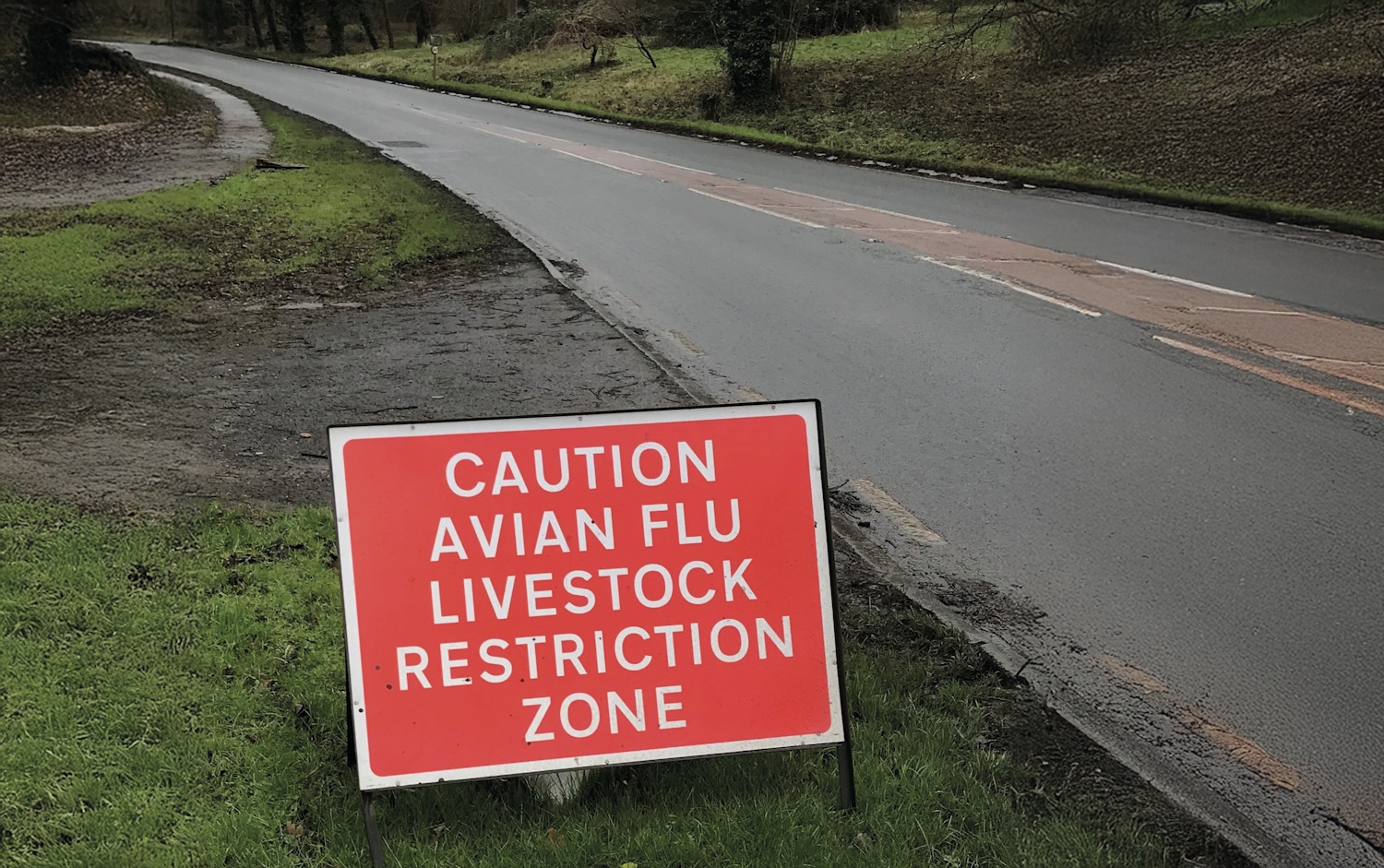 Human contracts bird flu on West Midlands farm 