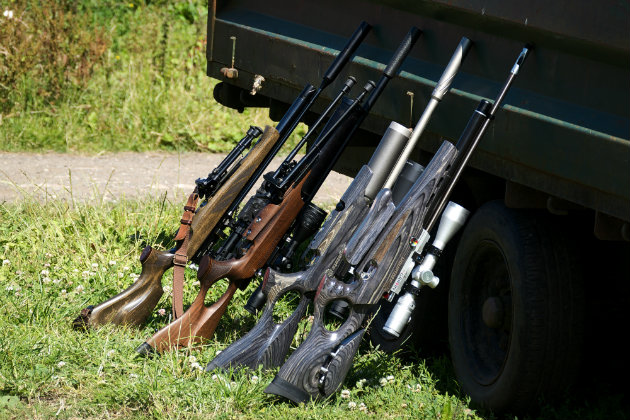 Air rifles for ratting