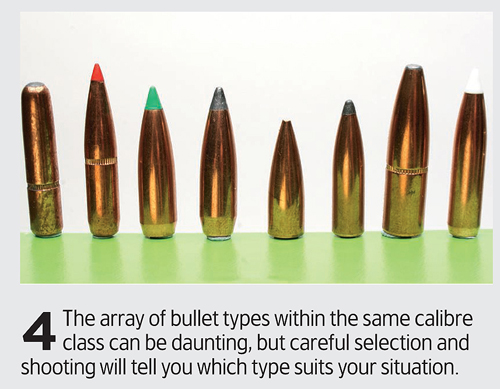 Bullets for game shooting