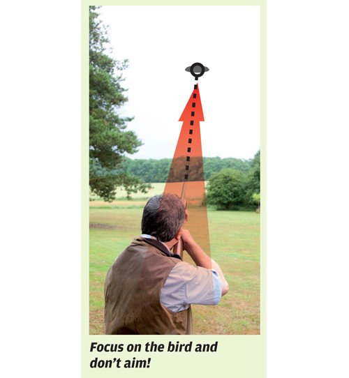 Clay shooting: grouse and partridge targets