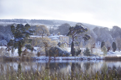 Baronscourt
