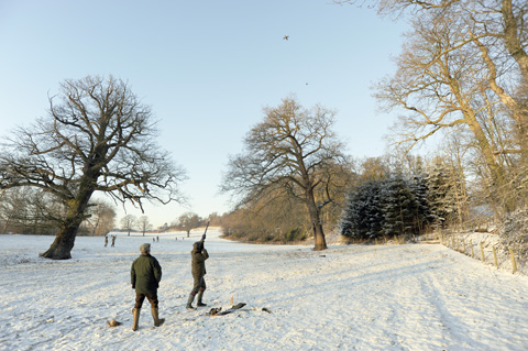 Berwick shoot