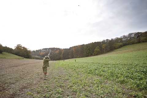 Chilgrove Sussex