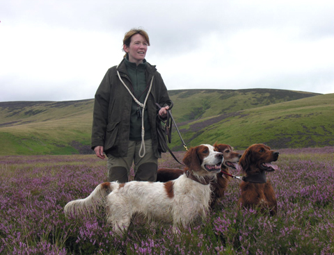 A picking up team grouse shooting in Scotland.