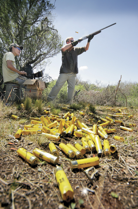 Dove shooting in Argentina