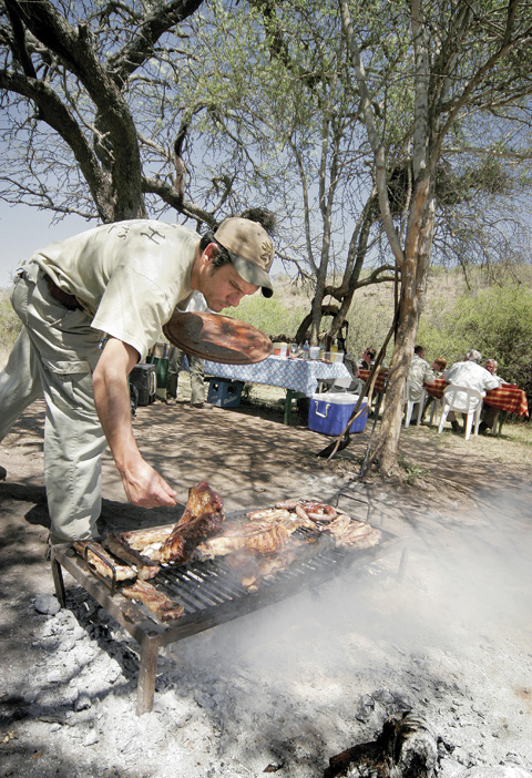 Dove shooting in Argentina