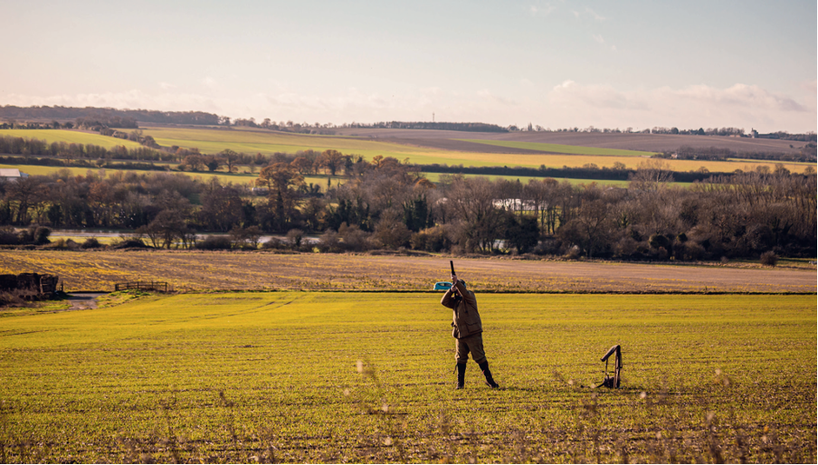 From the game farm- celebrating the positives