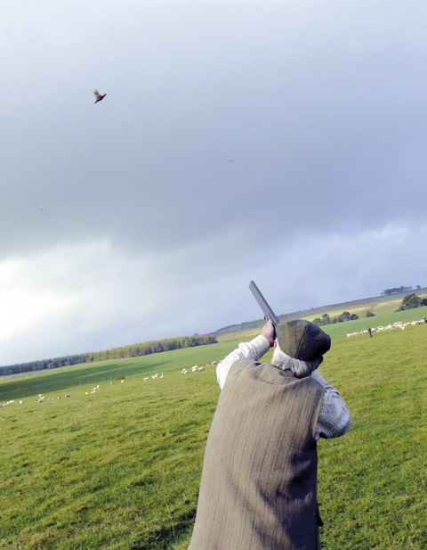 Game shooting at Greystoke 4