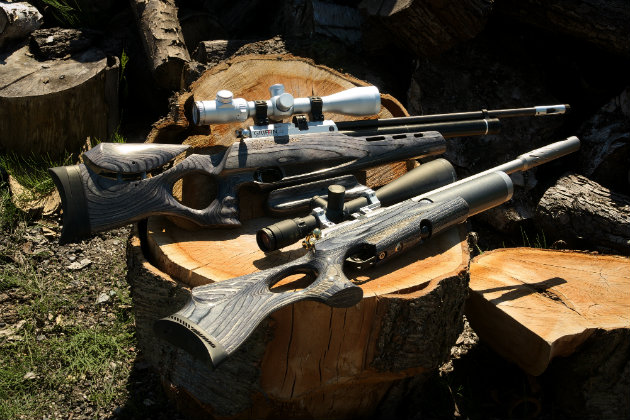 Sub 12 frlbs air rifles