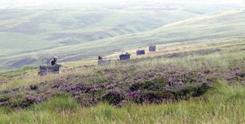 Hartside Moor
