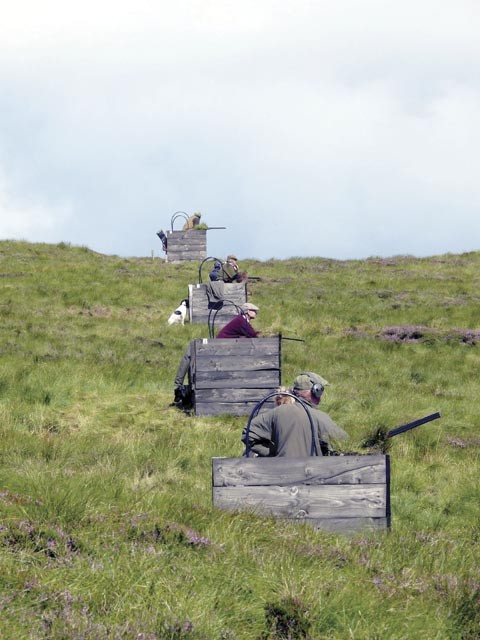 Hartside Moor