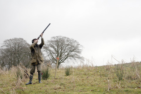 Game shooting Hembury