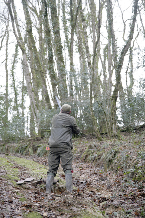 Game shooting Hembury