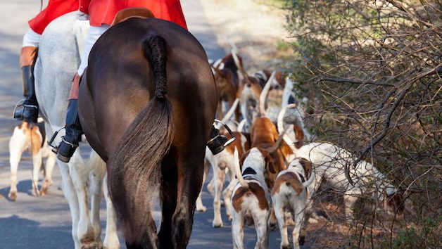 Top foxhunting police officer once again accused of bias