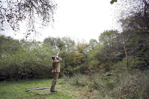 Liscombe shoot, Devon