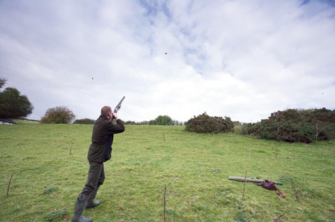 Liscombe shoot, Devon