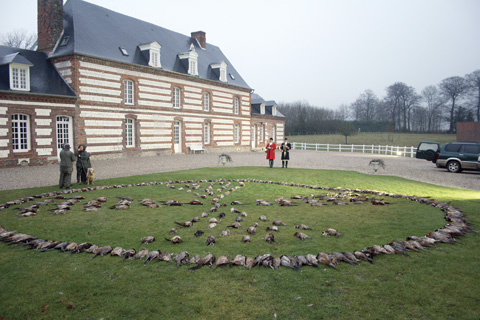 Pheasant shooting Mahomet Normandy