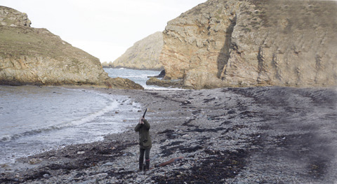 Game shooting at Anglesey