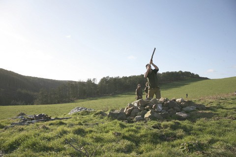 Game shooting at Anglesey