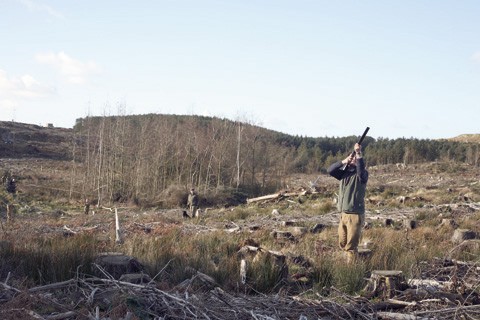 Game shooting at Anglesey