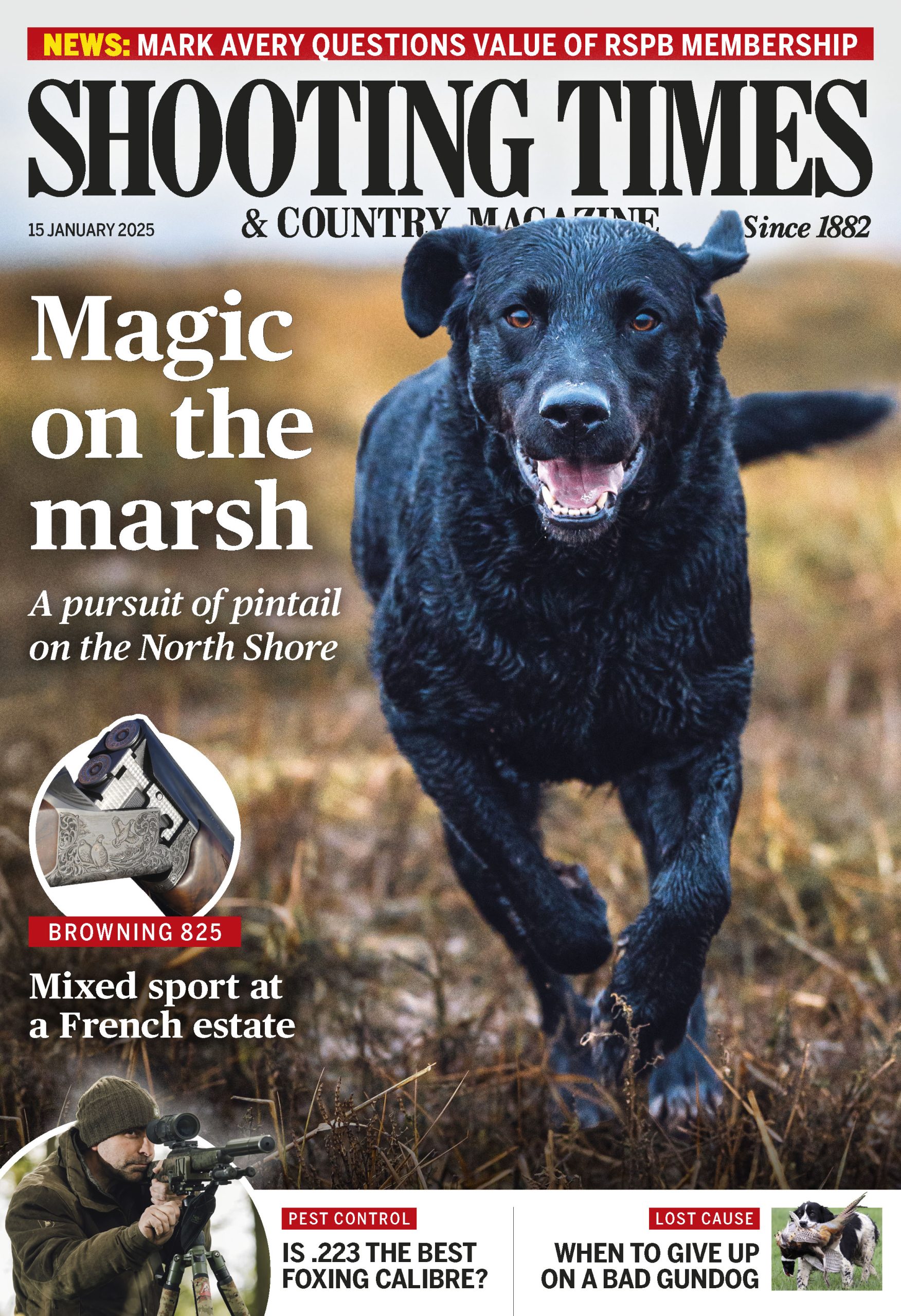 Subscribe to Shooting Times & Country