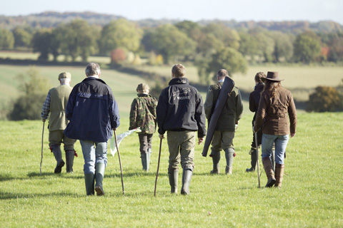 Pheasant shooting Priors Park