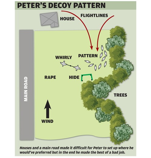 Pigeon shooting decoying pattern.