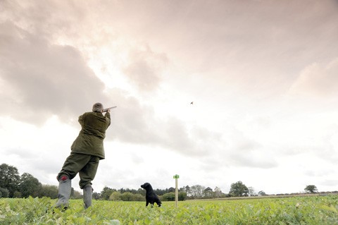 Game shooting Quidenham