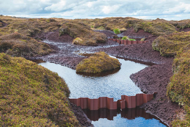 Peat hag