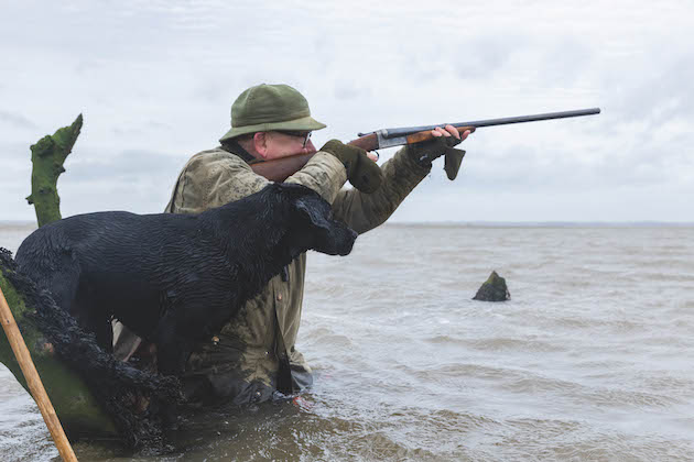 Wildfowling with labrador 