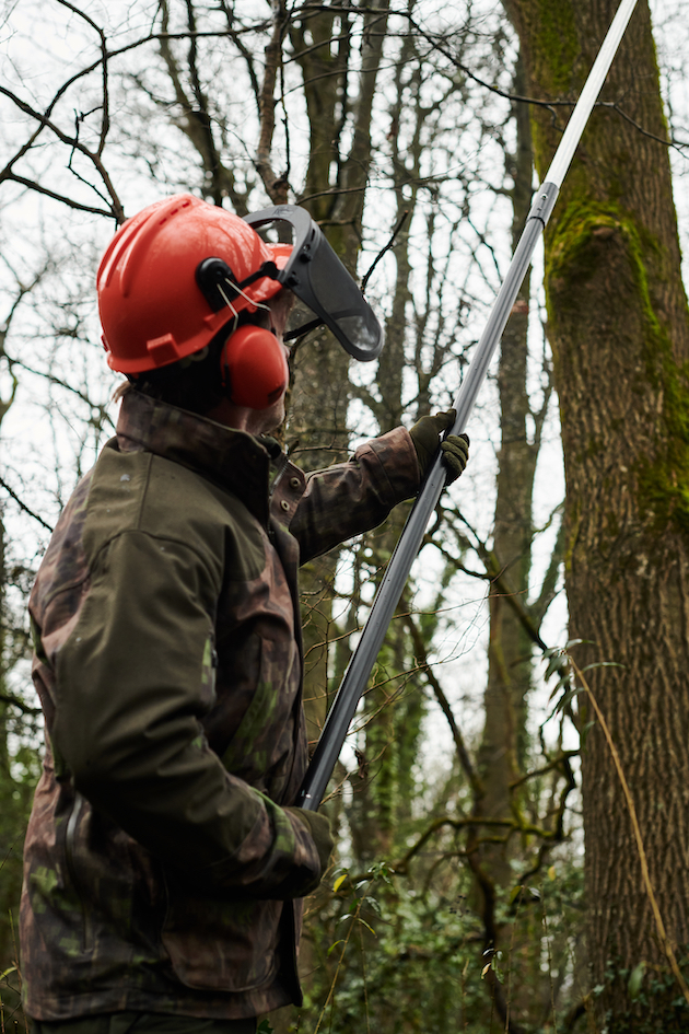 Using drey poles for squirrel control 