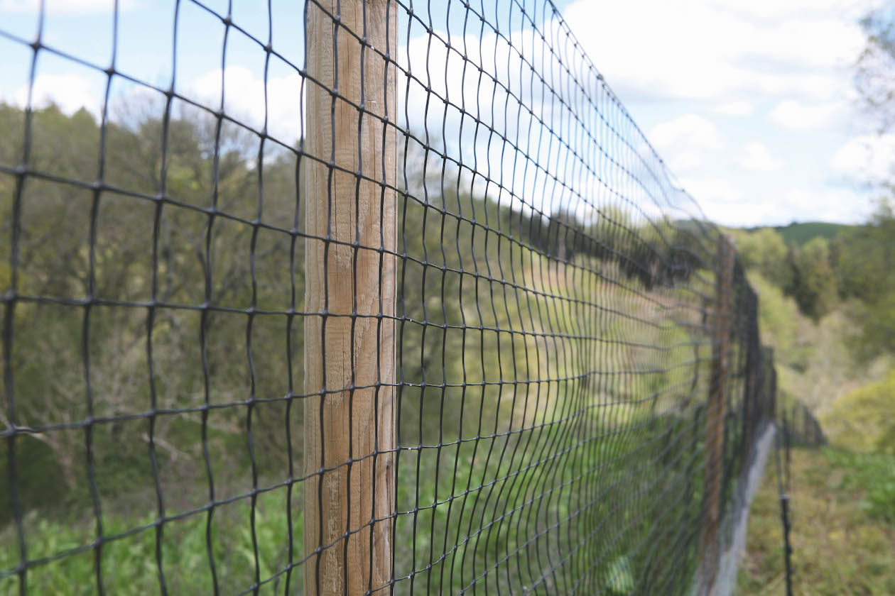 Keepering kit netting