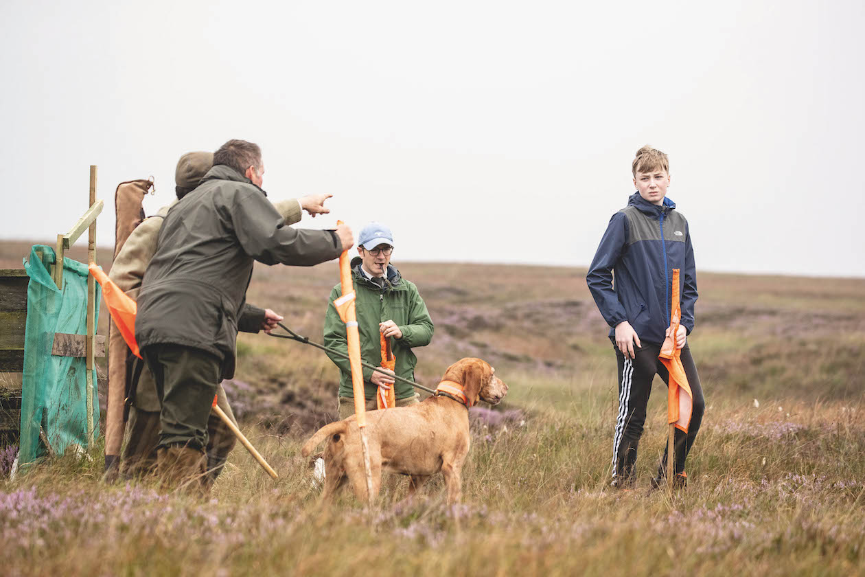 Driven grouse 