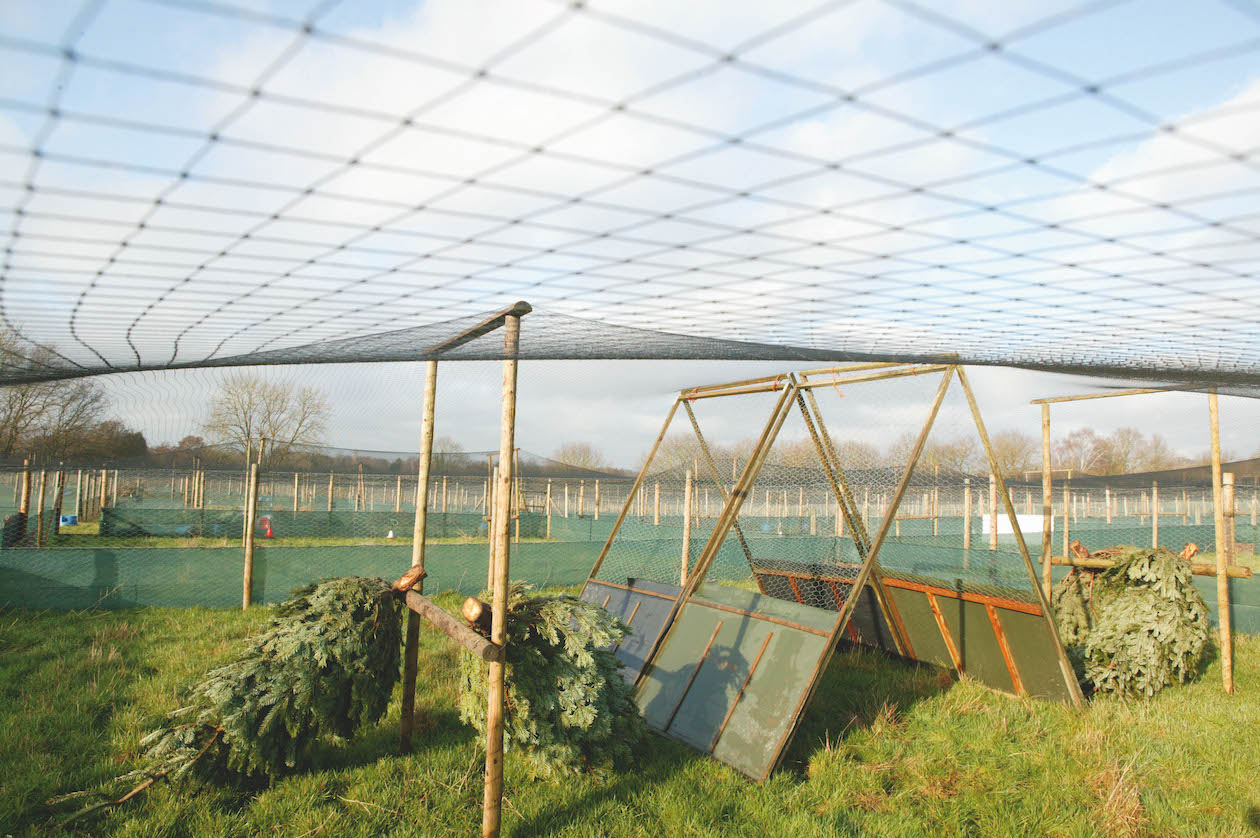 Gamebird pens