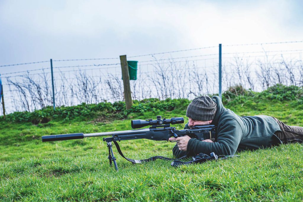 Can you shoot foxes with an air rifle?