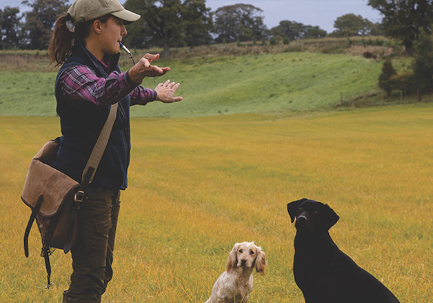 gundog training together