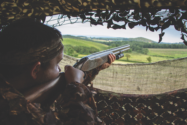 Shooting crows - what works and what doesn't - Shooting UK