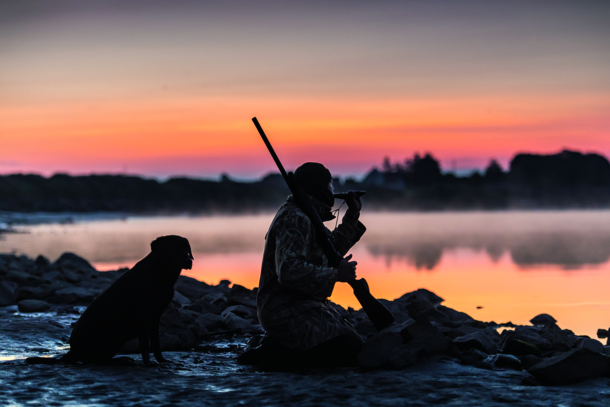 Biodegradable shotgun cartridges