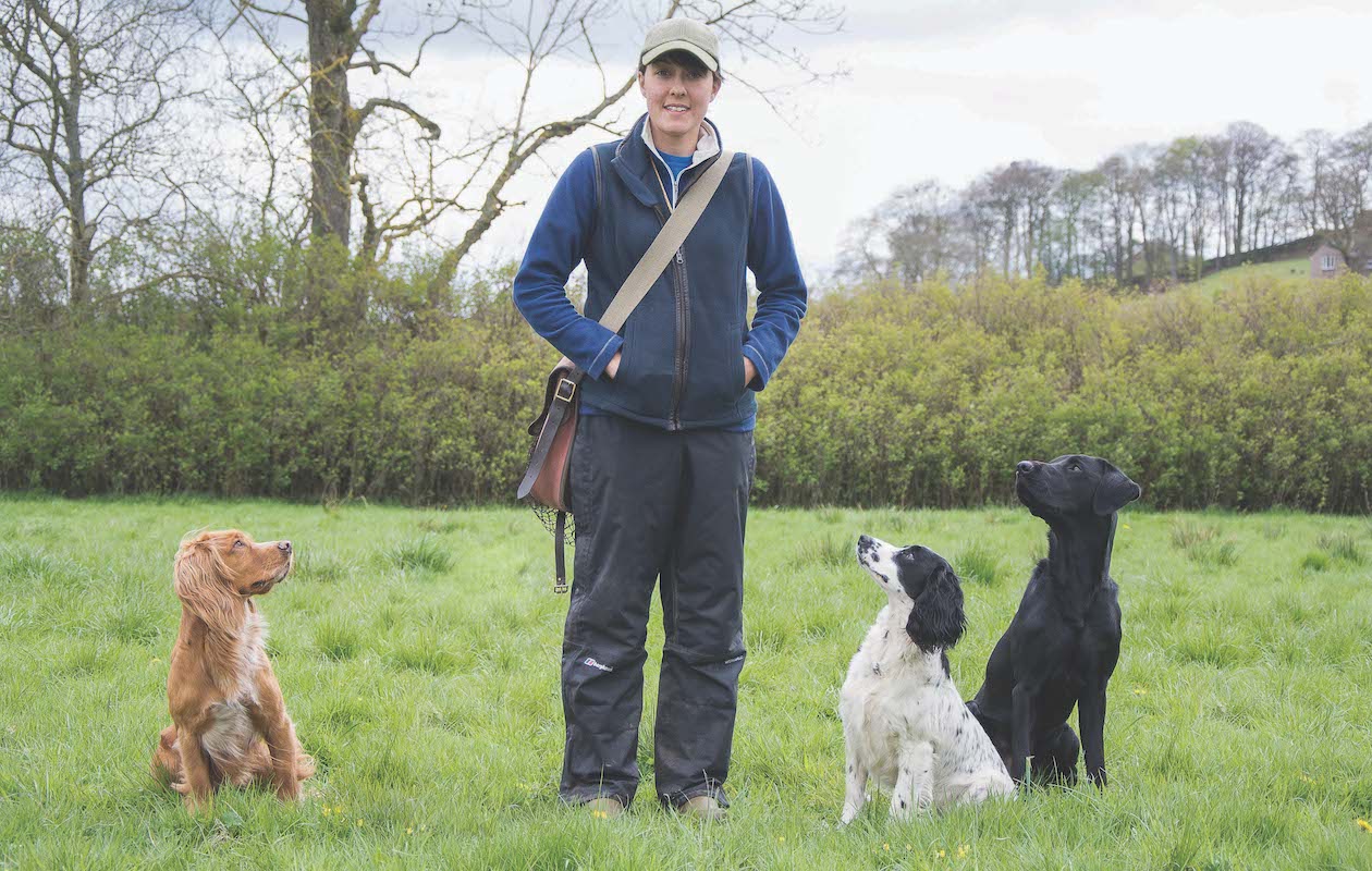 Gundog training