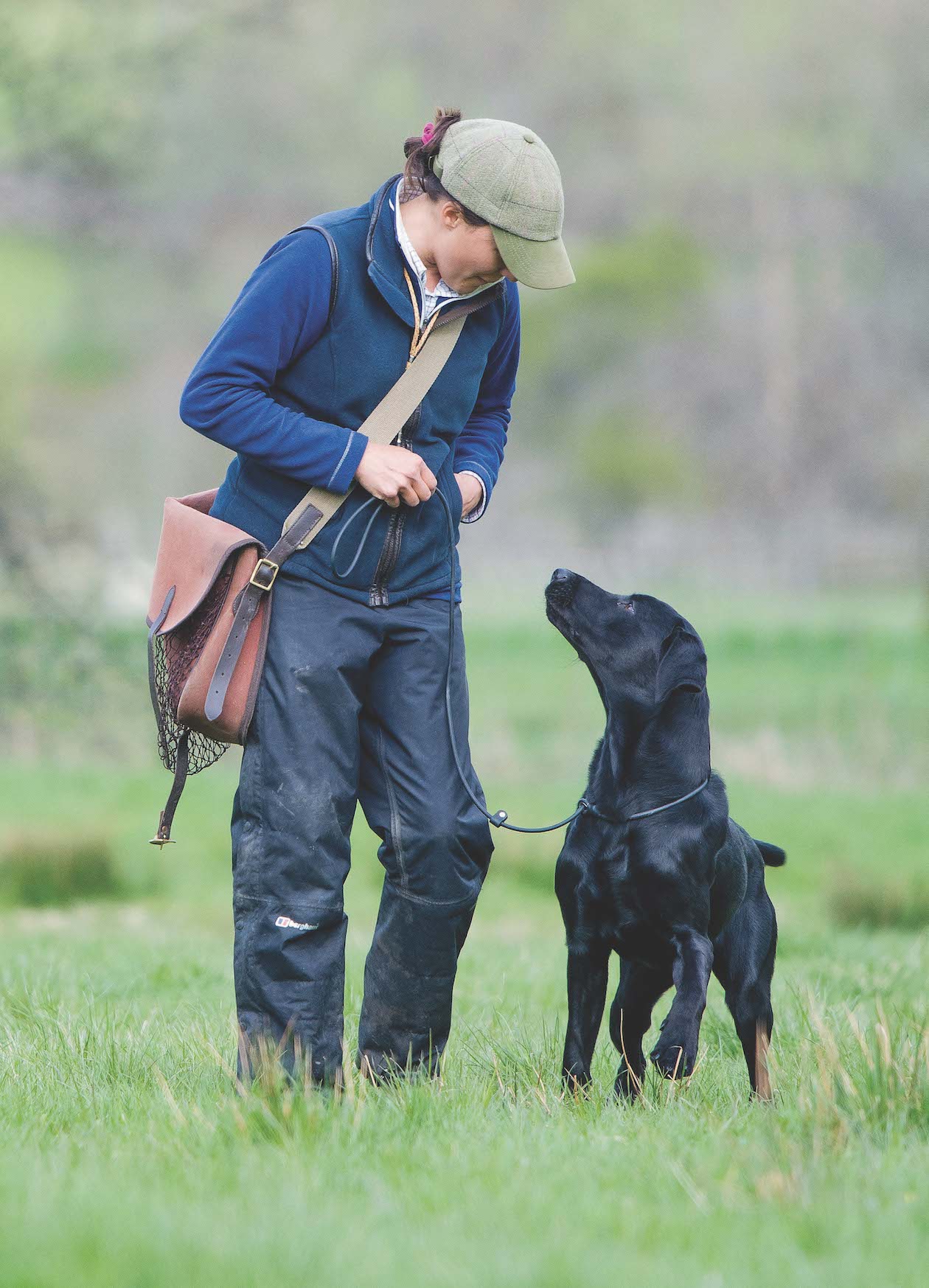 eye contact with dogs