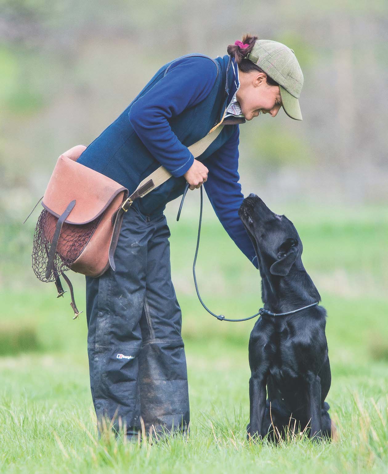 eye contact with dogs