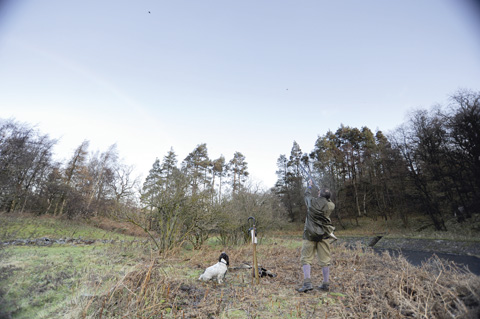 Game shooting at Swinton Park