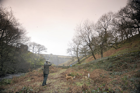 Game shooting at Swinton Park