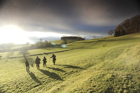Pheasant shooting Underley Cumbria