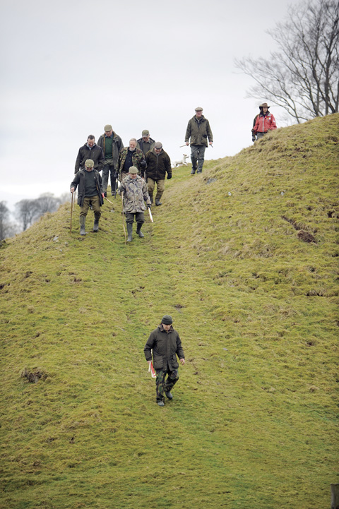 Pheasant shooting Underley Cumbria