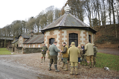 Pheasant shooting Underley Cumbria